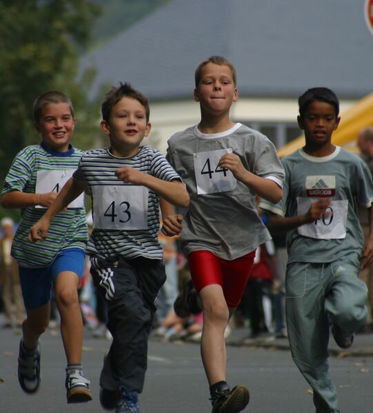 Datei:2003 Septemberlauf.jpg