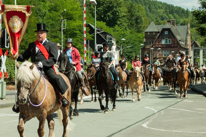 Datei:2017 Krautwischritt.jpg